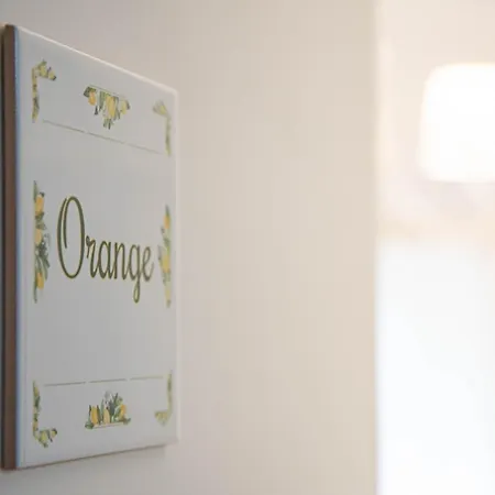 Light Garden 陶尔米纳