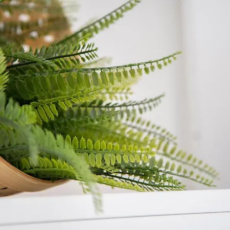 招待所 Light Garden 3*