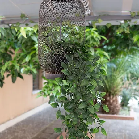 Light Garden * Ταορμίνα