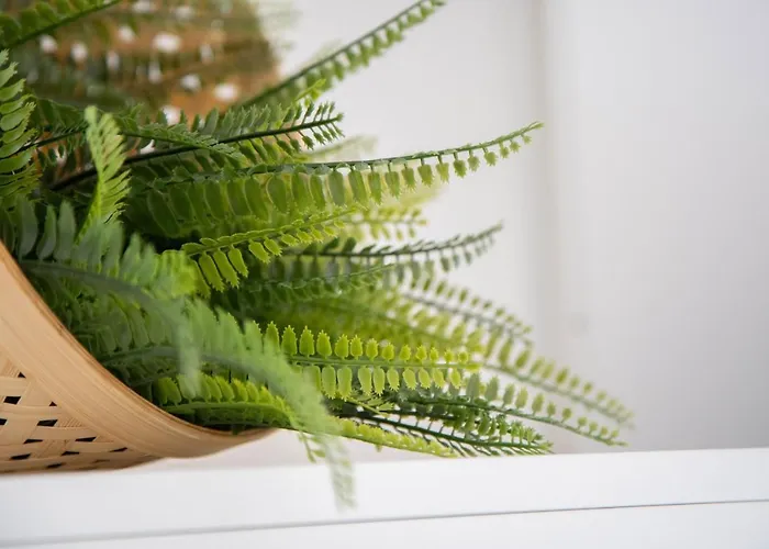 Penzion Light Garden 3*